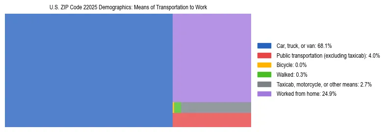 Treemap showing means of transportation to work distribution in US ZIP Code 22025.