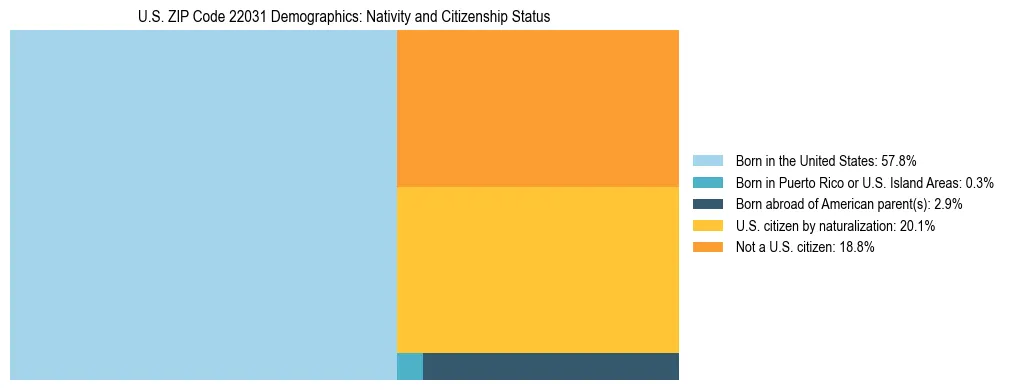 Treemap showing the population distribution by nativity and citizenship status in US ZIP Code 22031 based on U.S. Census data.