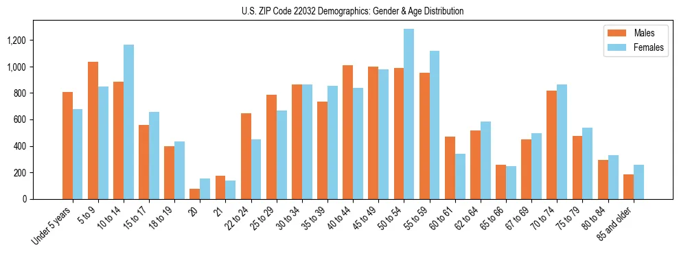 Bar chart showing the population distribution of US ZIP Code 22032 by age group and gender, based on 2023 ACS data.