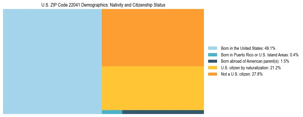 Treemap showing the population distribution by nativity and citizenship status in US ZIP Code 22041 based on U.S. Census data.