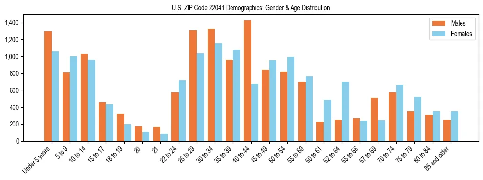 Bar chart showing the population distribution of US ZIP Code 22041 by age group and gender, based on 2023 ACS data.