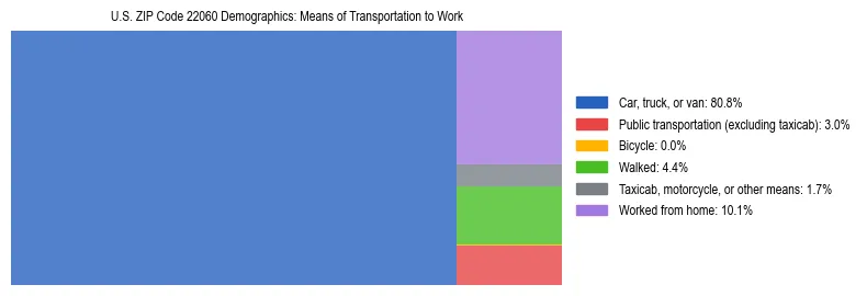 Treemap showing means of transportation to work distribution in US ZIP Code 22060.