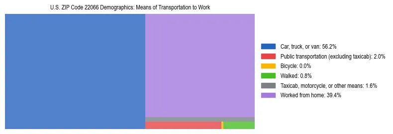 Treemap showing means of transportation to work distribution in US ZIP Code 22066.
