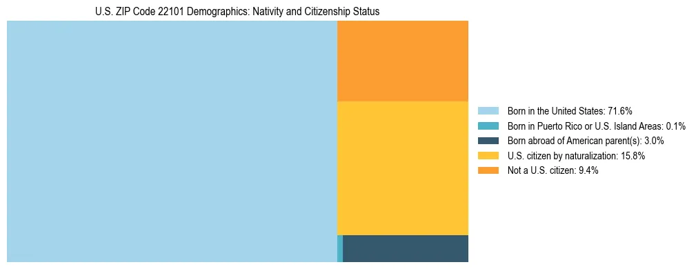 Treemap showing the population distribution by nativity and citizenship status in US ZIP Code 22101 based on U.S. Census data.