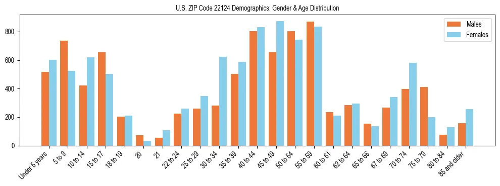 Bar chart showing the population distribution of US ZIP Code 22124 by age group and gender, based on 2023 ACS data.
