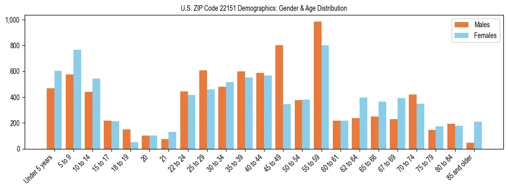 Bar chart showing the population distribution of US ZIP Code 22151 by age group and gender, based on 2023 ACS data.