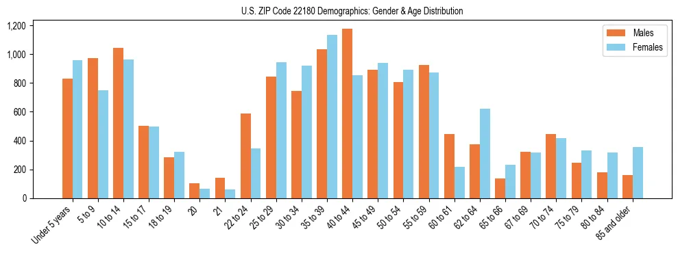 Bar chart showing the population distribution of US ZIP Code 22180 by age group and gender, based on 2023 ACS data.