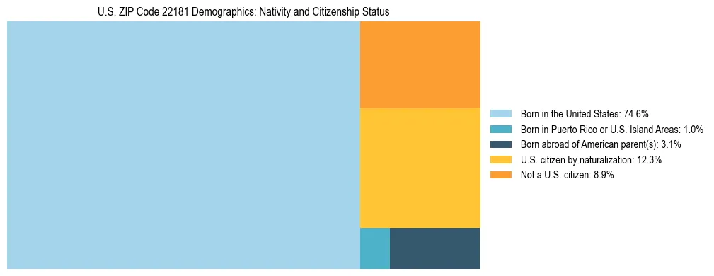 Treemap showing the population distribution by nativity and citizenship status in US ZIP Code 22181 based on U.S. Census data.