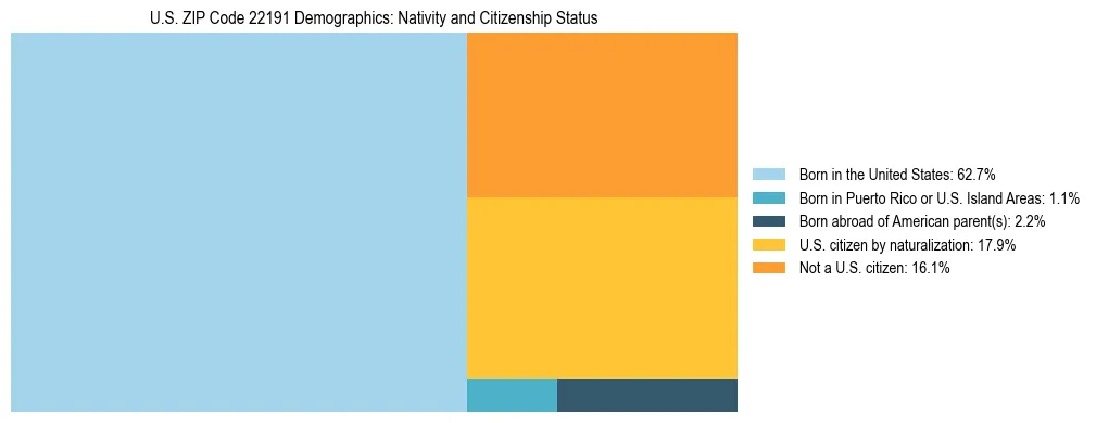 Treemap showing the population distribution by nativity and citizenship status in US ZIP Code 22191 based on U.S. Census data.