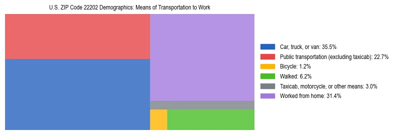 Treemap showing means of transportation to work distribution in US ZIP Code 22202.