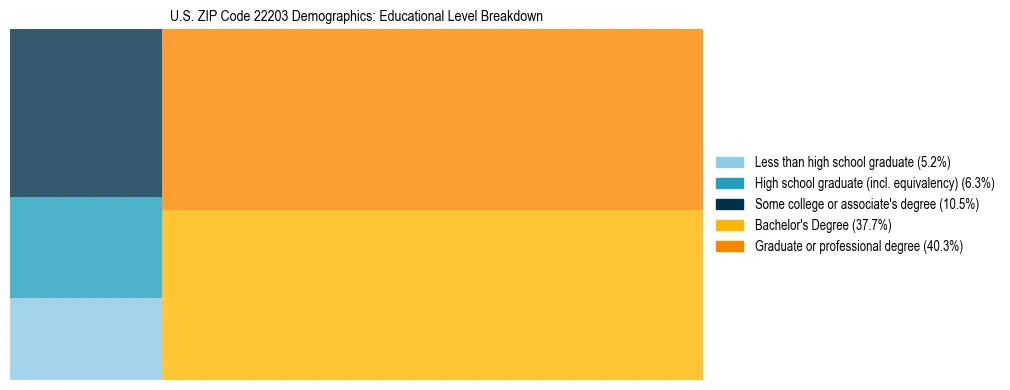 Treemap chart illustrating the educational attainment breakdown for population 25 years and over in US ZIP Code 22203.