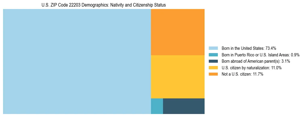 Treemap showing the population distribution by nativity and citizenship status in US ZIP Code 22203 based on U.S. Census data.