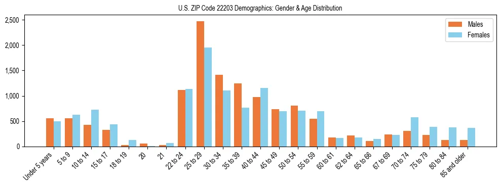 Bar chart showing the population distribution of US ZIP Code 22203 by age group and gender, based on 2023 ACS data.