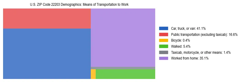 Treemap showing means of transportation to work distribution in US ZIP Code 22203.