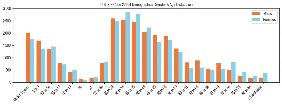 Bar chart showing the population distribution of US ZIP Code 22204 by age group and gender, based on 2023 ACS data.
