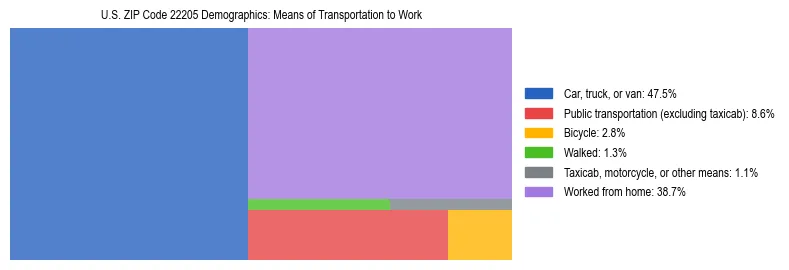 Treemap showing means of transportation to work distribution in US ZIP Code 22205.