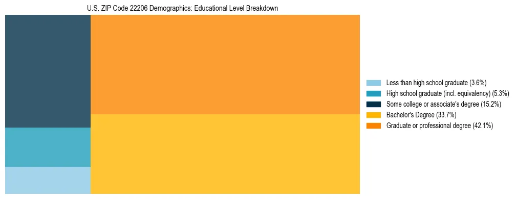 Treemap chart illustrating the educational attainment breakdown for population 25 years and over in US ZIP Code 22206.