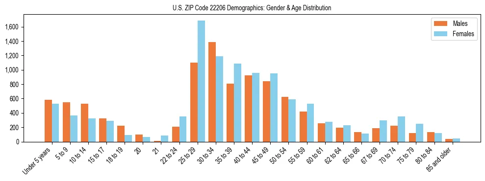 Bar chart showing the population distribution of US ZIP Code 22206 by age group and gender, based on 2023 ACS data.