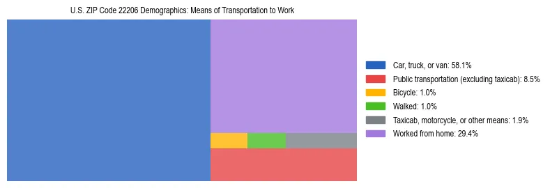 Treemap showing means of transportation to work distribution in US ZIP Code 22206.