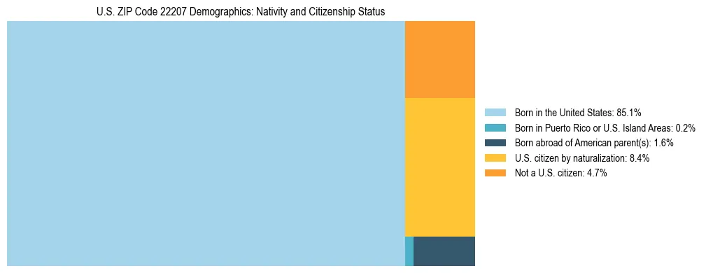 Treemap showing the population distribution by nativity and citizenship status in US ZIP Code 22207 based on U.S. Census data.