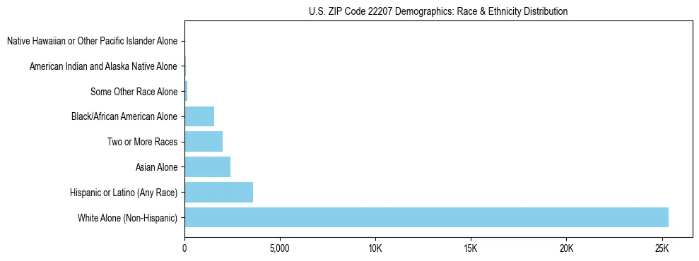 Race and Ethnicity Distribution Chart for US ZIP Code 22207