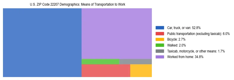 Treemap showing means of transportation to work distribution in US ZIP Code 22207.