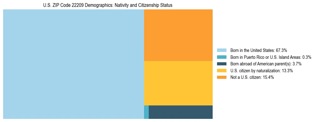 Treemap showing the population distribution by nativity and citizenship status in US ZIP Code 22209 based on U.S. Census data.