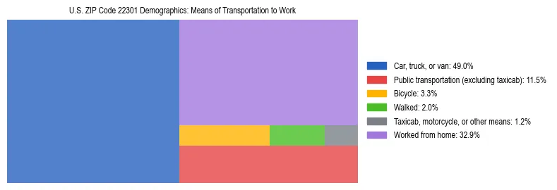 Treemap showing means of transportation to work distribution in US ZIP Code 22301.