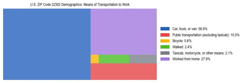 Treemap showing means of transportation to work distribution in US ZIP Code 22302.