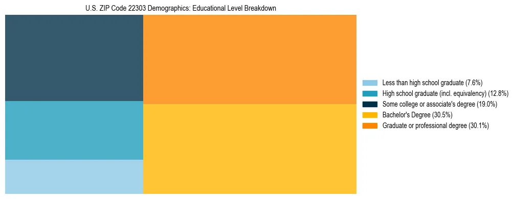 Treemap chart illustrating the educational attainment breakdown for population 25 years and over in US ZIP Code 22303.