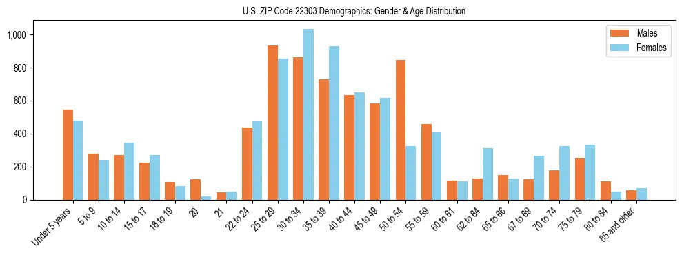 Bar chart showing the population distribution of US ZIP Code 22303 by age group and gender, based on 2023 ACS data.