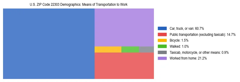 Treemap showing means of transportation to work distribution in US ZIP Code 22303.