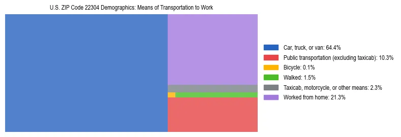 Treemap showing means of transportation to work distribution in US ZIP Code 22304.