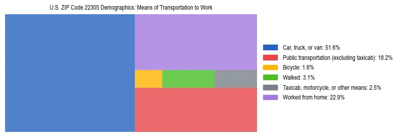 Treemap showing means of transportation to work distribution in US ZIP Code 22305.