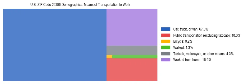 Treemap showing means of transportation to work distribution in US ZIP Code 22306.