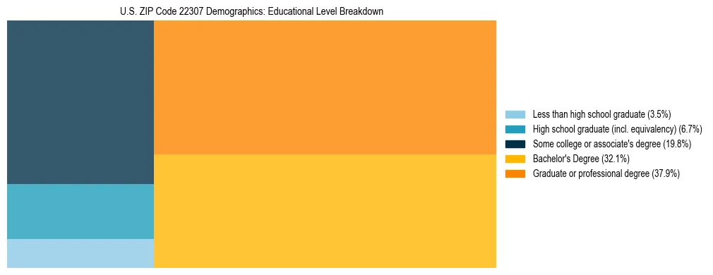 Treemap chart illustrating the educational attainment breakdown for population 25 years and over in US ZIP Code 22307.