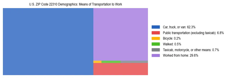 Treemap showing means of transportation to work distribution in US ZIP Code 22310.