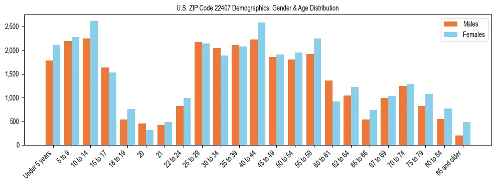 Bar chart showing the population distribution of US ZIP Code 22407 by age group and gender, based on 2023 ACS data.