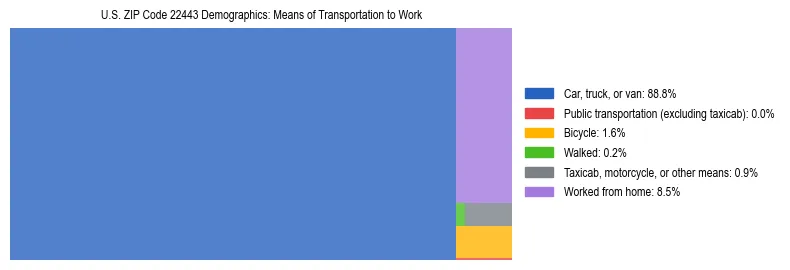 Treemap showing means of transportation to work distribution in US ZIP Code 22443.