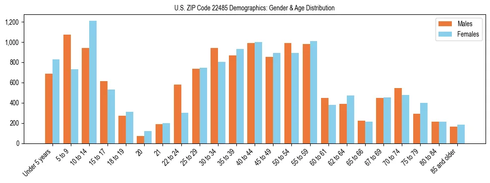 Bar chart showing the population distribution of US ZIP Code 22485 by age group and gender, based on 2023 ACS data.