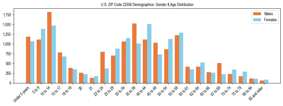 Bar chart showing the population distribution of US ZIP Code 22556 by age group and gender, based on 2023 ACS data.