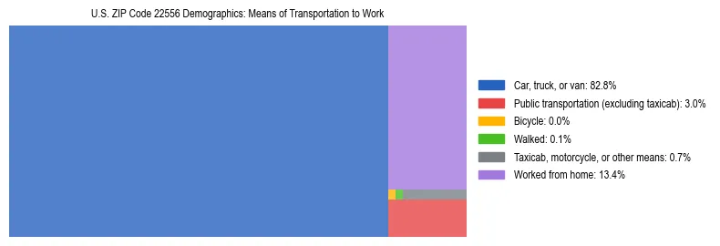 Treemap showing means of transportation to work distribution in US ZIP Code 22556.