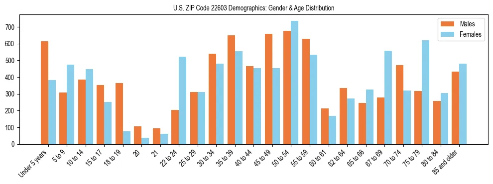 Bar chart showing the population distribution of US ZIP Code 22603 by age group and gender, based on 2023 ACS data.