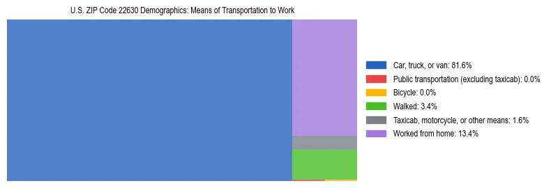 Treemap showing means of transportation to work distribution in US ZIP Code 22630.