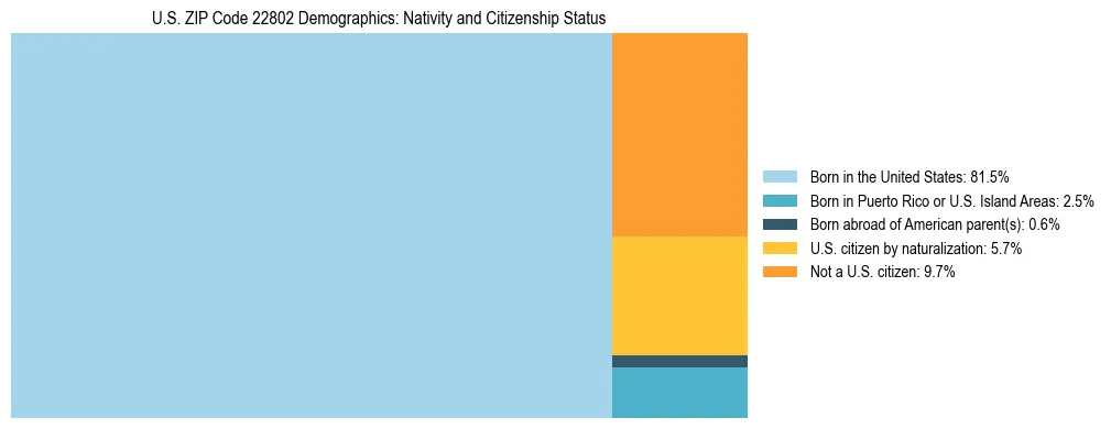 Treemap showing the population distribution by nativity and citizenship status in US ZIP Code 22802 based on U.S. Census data.