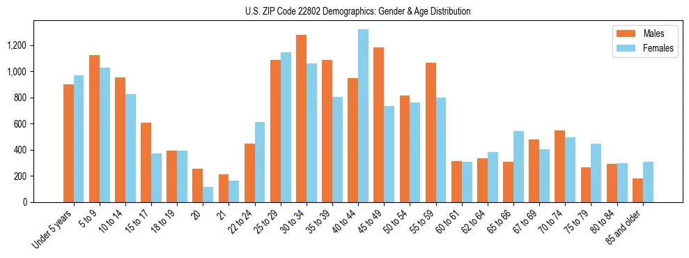 Bar chart showing the population distribution of US ZIP Code 22802 by age group and gender, based on 2023 ACS data.