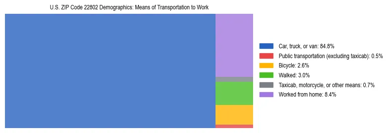 Treemap showing means of transportation to work distribution in US ZIP Code 22802.