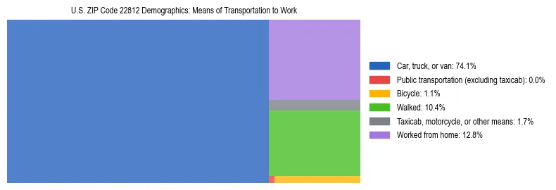 Treemap showing means of transportation to work distribution in US ZIP Code 22812.