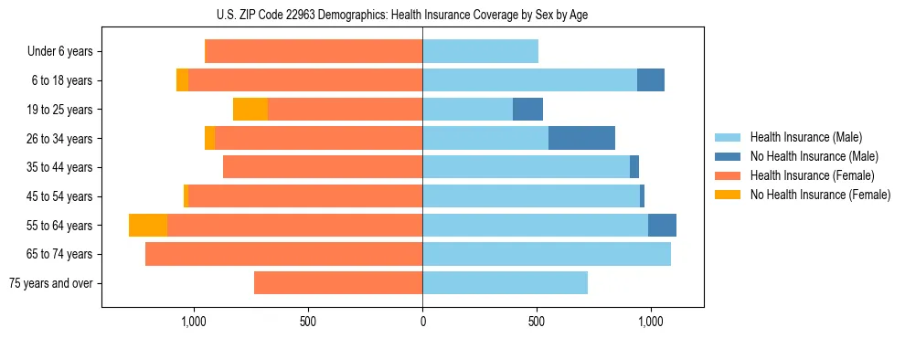 Pyramid chart showing health insurance coverage by age and sex in US ZIP Code 22963.