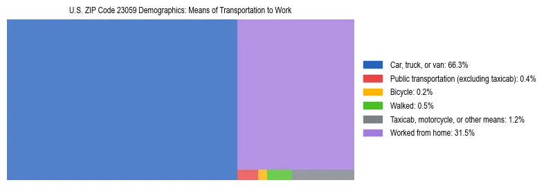 Treemap showing means of transportation to work distribution in US ZIP Code 23059.